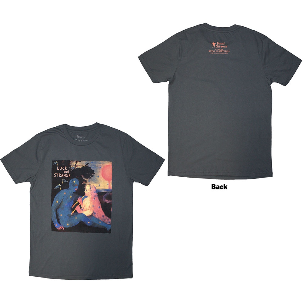David Gilmour - Luck & Strange London 2 Heren Tshirt - Grijs
